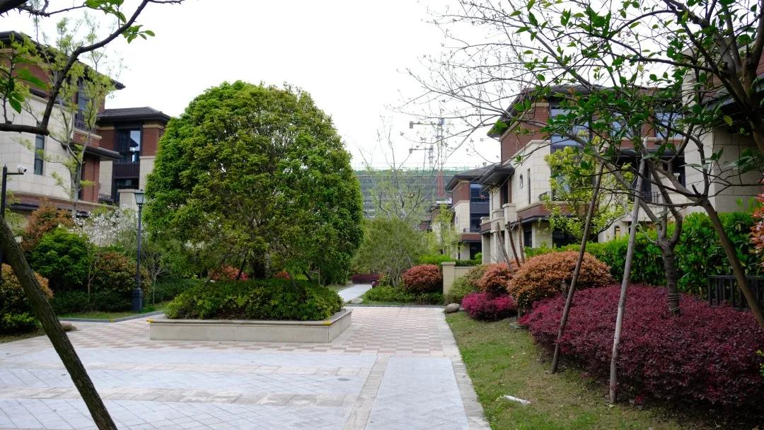 朝闻天下楼盘为什么这么便宜,潮闻天下房价