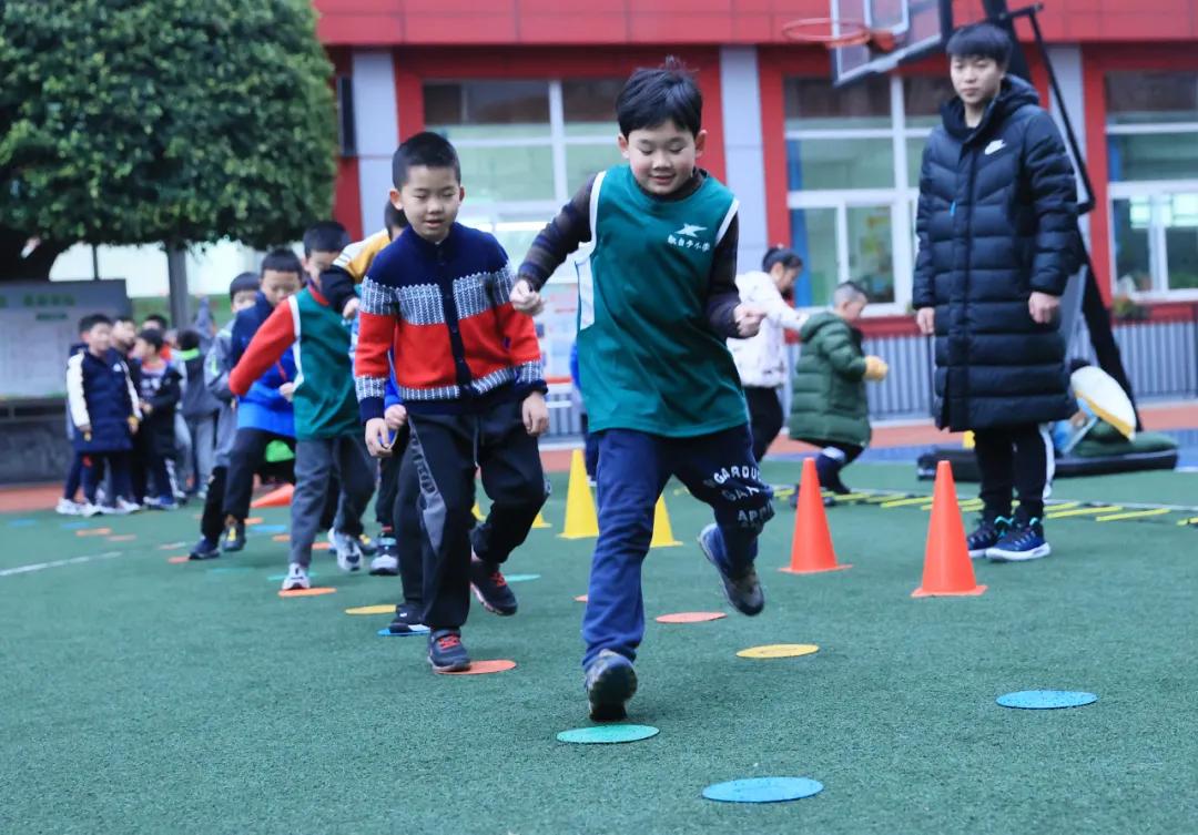 重庆沙坪坝区5朵金花小学,重庆公认最好的五个小学