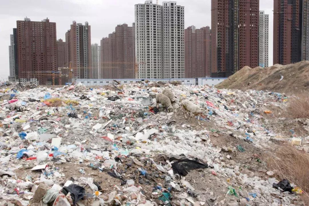 生活垃圾处置新模式,垃圾分类虎哥经营状况