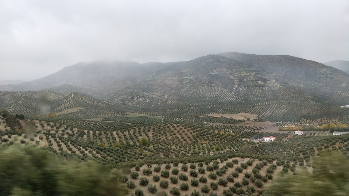 北美格拉纳达旅游,西班牙格拉纳达旅游攻略