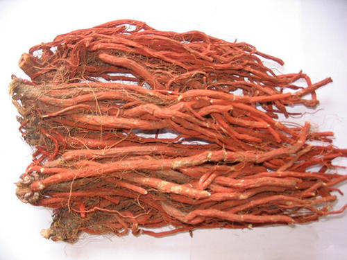 人参、西洋参、*党**参、太子参等这些中药!有何异同?一文说明白