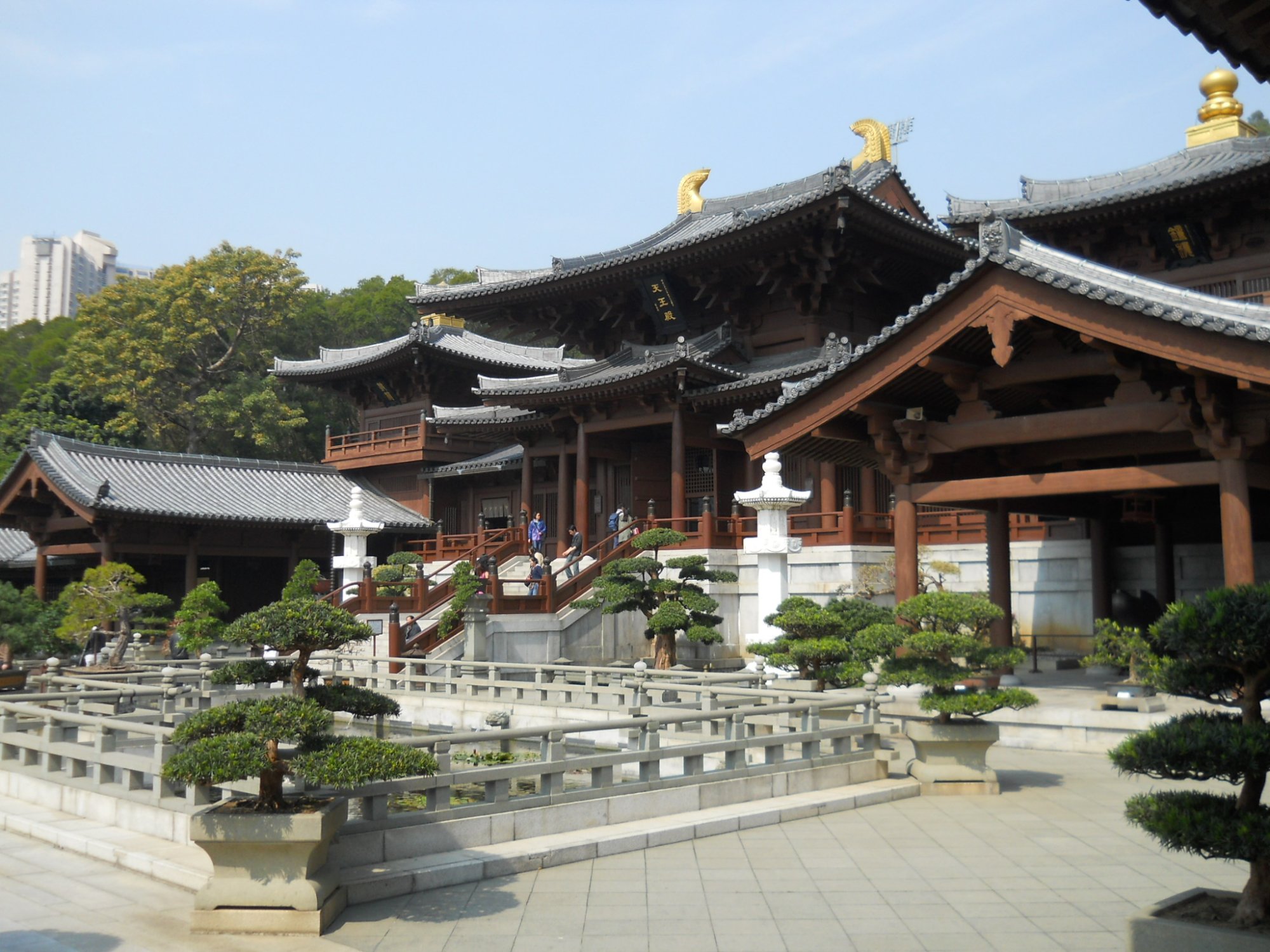 香港志莲净苑地图,香港志莲净苑好玩吗