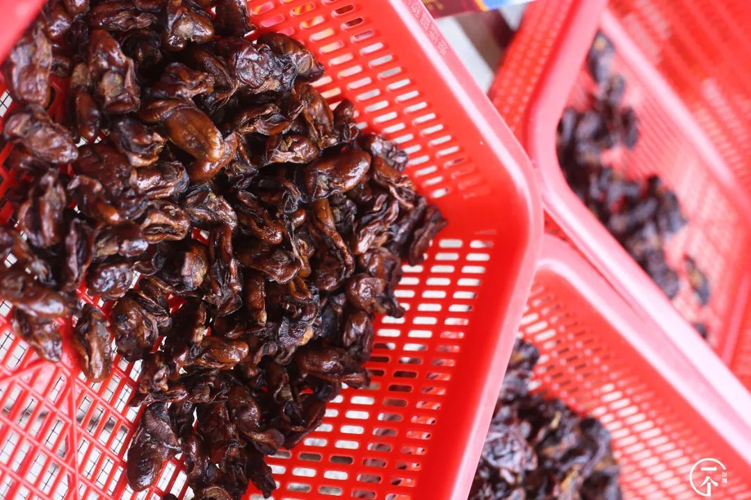 全深圳都要羡慕住在沙井的人,羡慕深圳有房的人