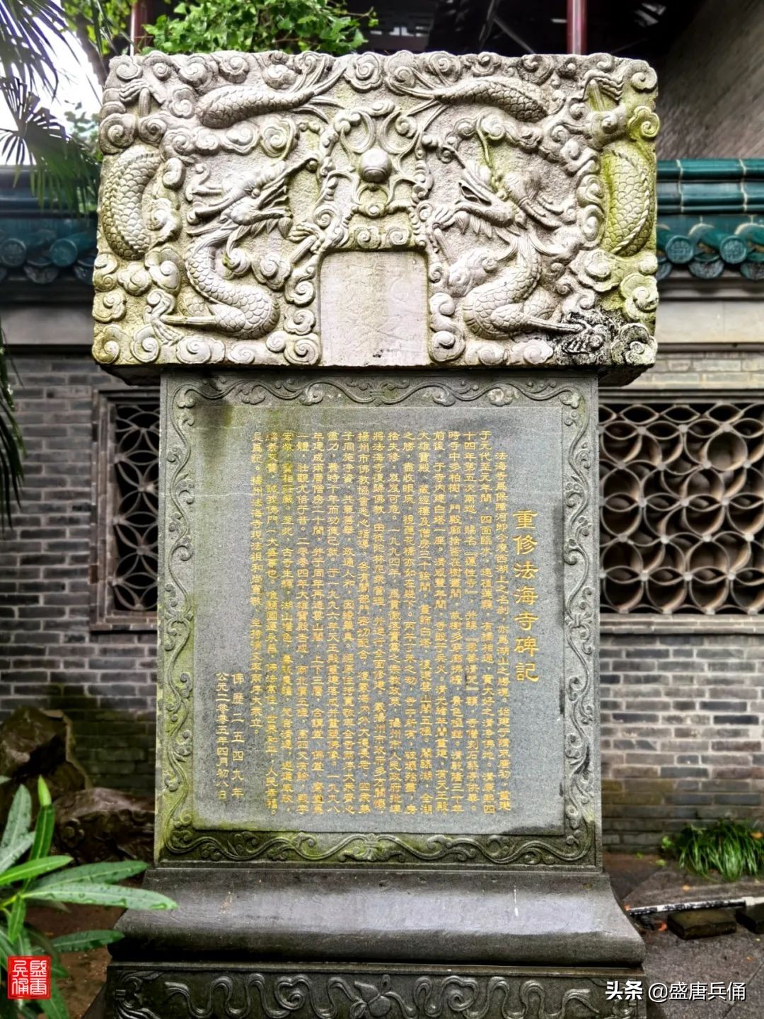 扬州｜垂杨不断接残芜，雁齿红桥俨画图