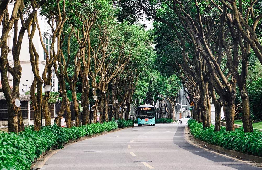 深圳银湖山游玩,深圳银湖有什么好玩的地方