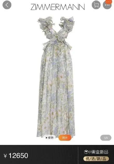 张大奕为什么被称为大陆第一网红,网红张大奕现在怎么样