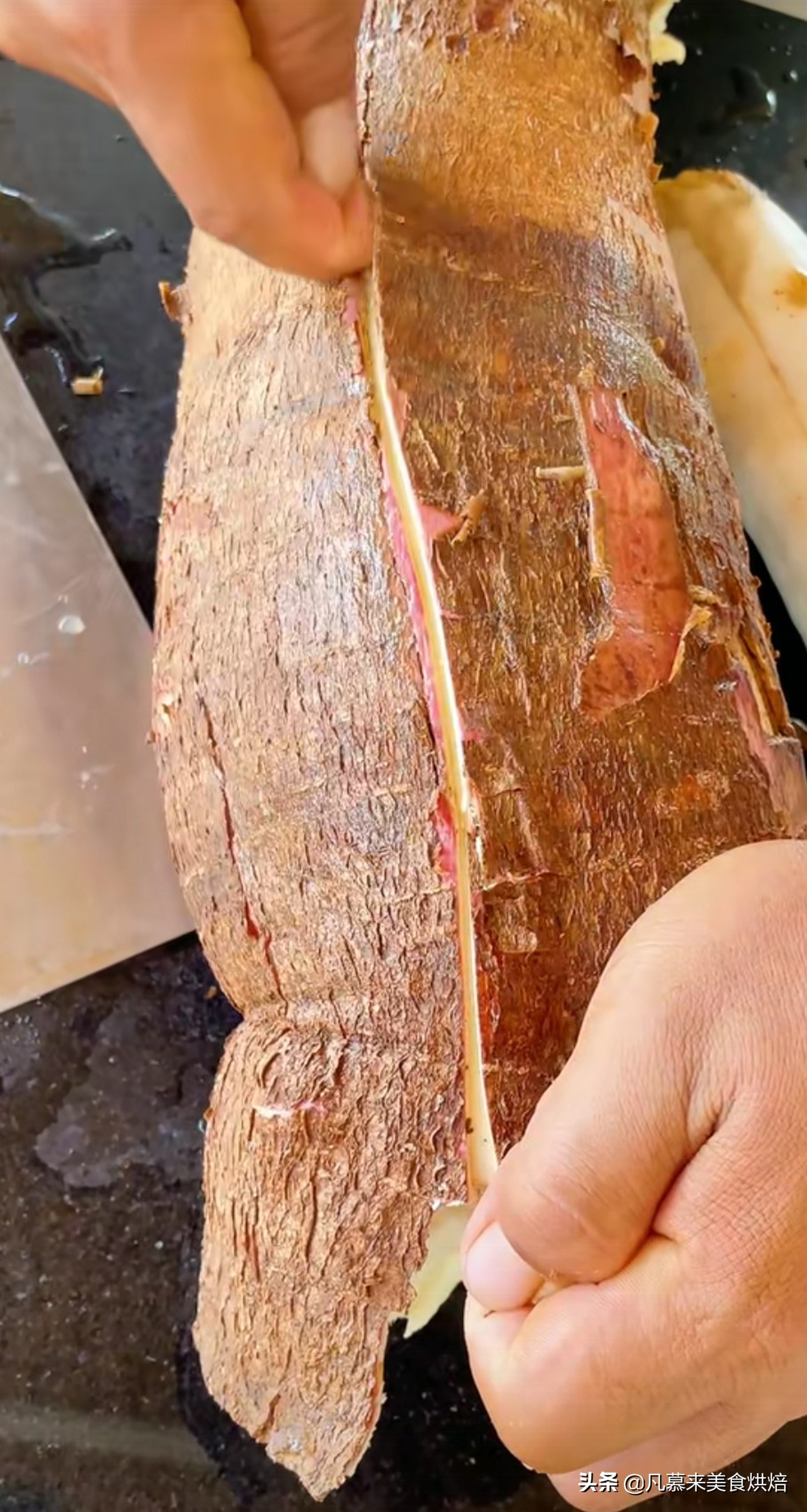 砍回养活了全球6亿人的木薯，做成一道快失传的美食“木薯粉虫”