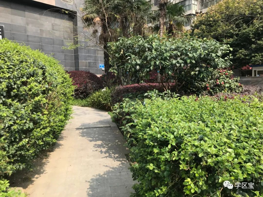 学区房215万,金坛东城小学附近电梯二手房