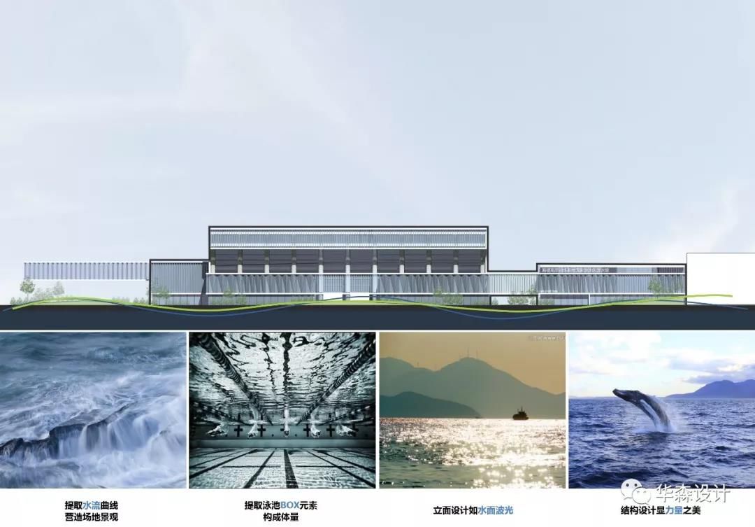 东京奥运会游泳比赛场馆,备战东京奥运会游泳队