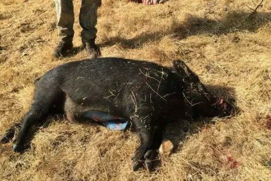 痘痘的防治方法有哪些,痘痘种类及去除办法