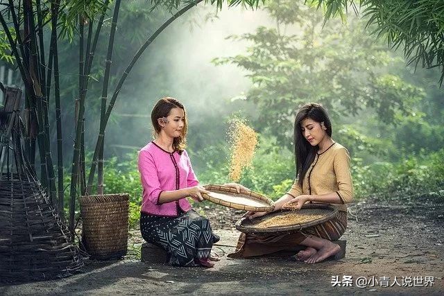 世界华人华侨分布最集中的国家,世界上有几个华人国家