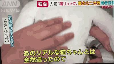 日本网红猫包,日本网红猫咪包