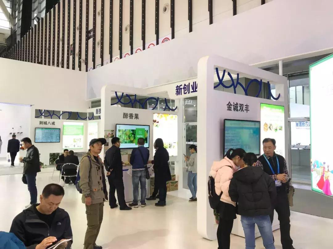 打造广西好嘢中国高端农产品品牌,广西好嘢品牌展示