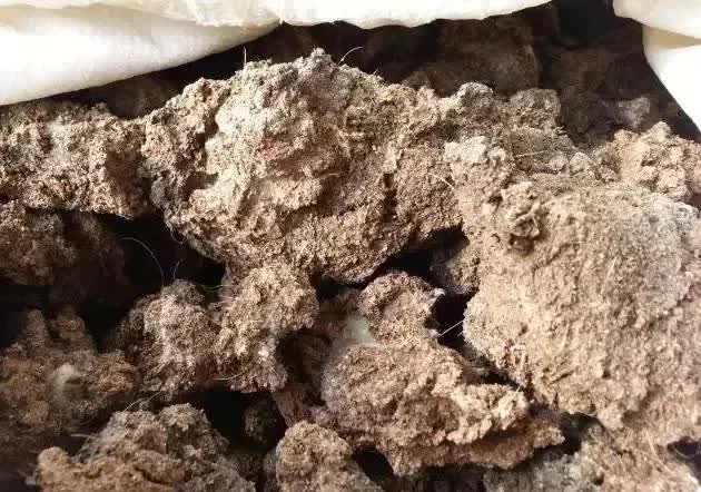 鸡粪羊粪肥用哪种合适,肥料羊粪牛粪猪粪哪种好