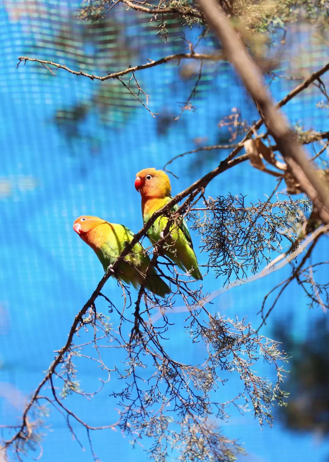 昆明亲子游户外旅行地,昆明周边户外游玩景点推荐带孩子