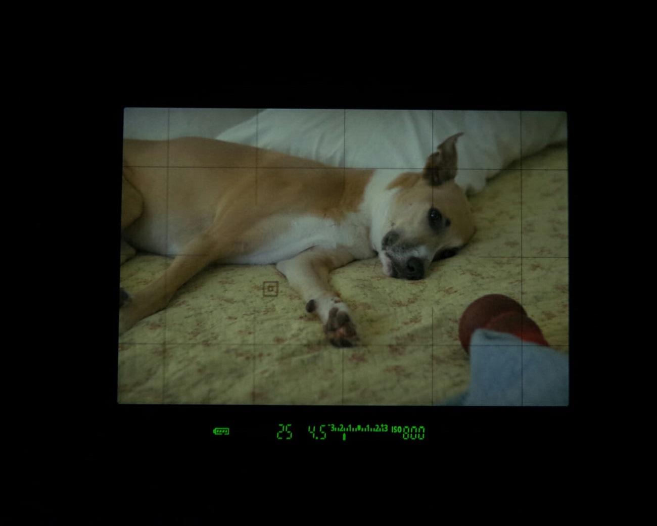 单反相机入门到精通,单反相机基础知识入门