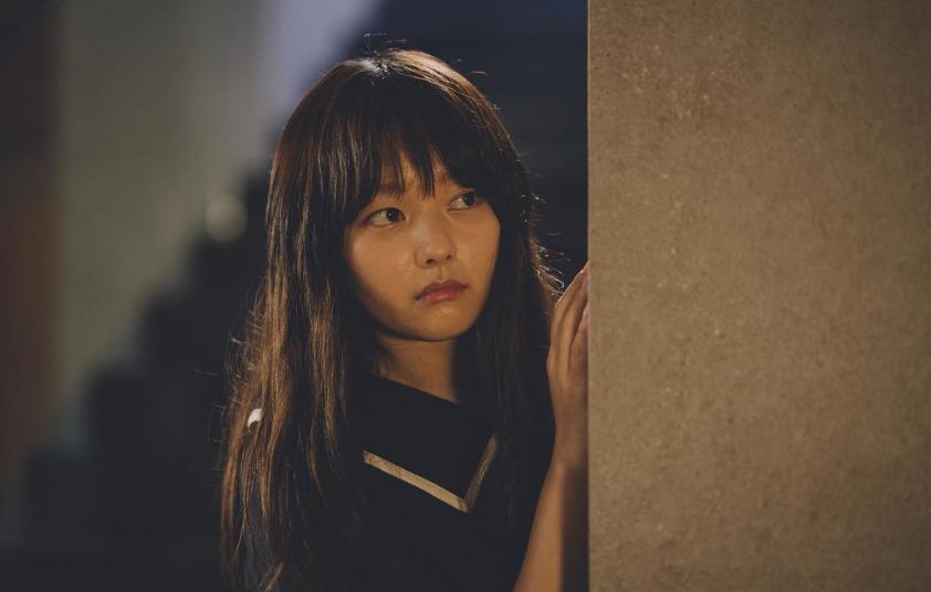 寄生虫故事梗概,寄生虫讲的是什么社会现象