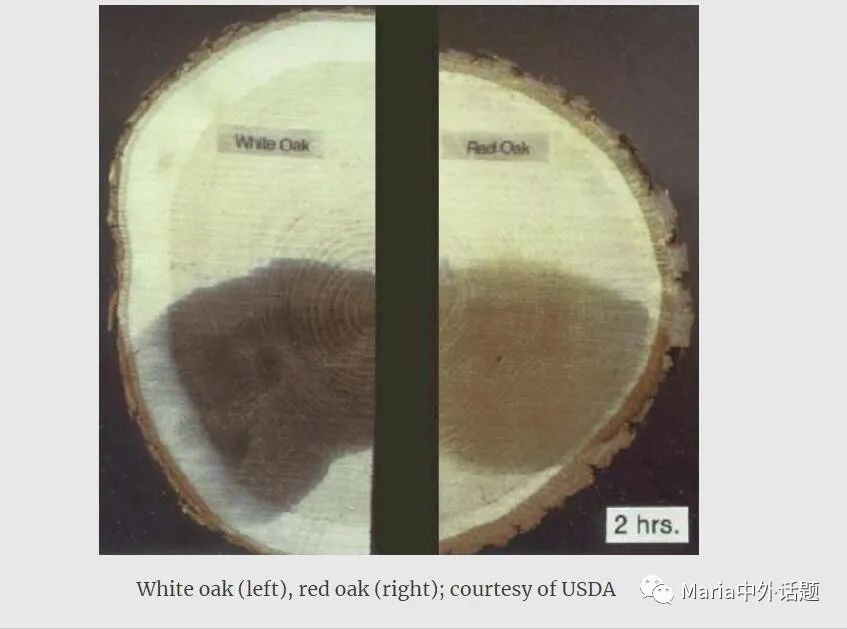 缇庡浗姗℃湪浜у尯,缇庡浗鍖楅儴姗℃湪