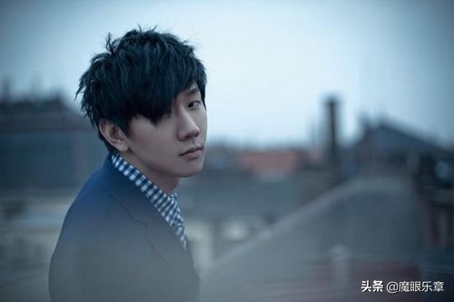 新加坡歌手许美静祖籍,新加坡许美静演唱