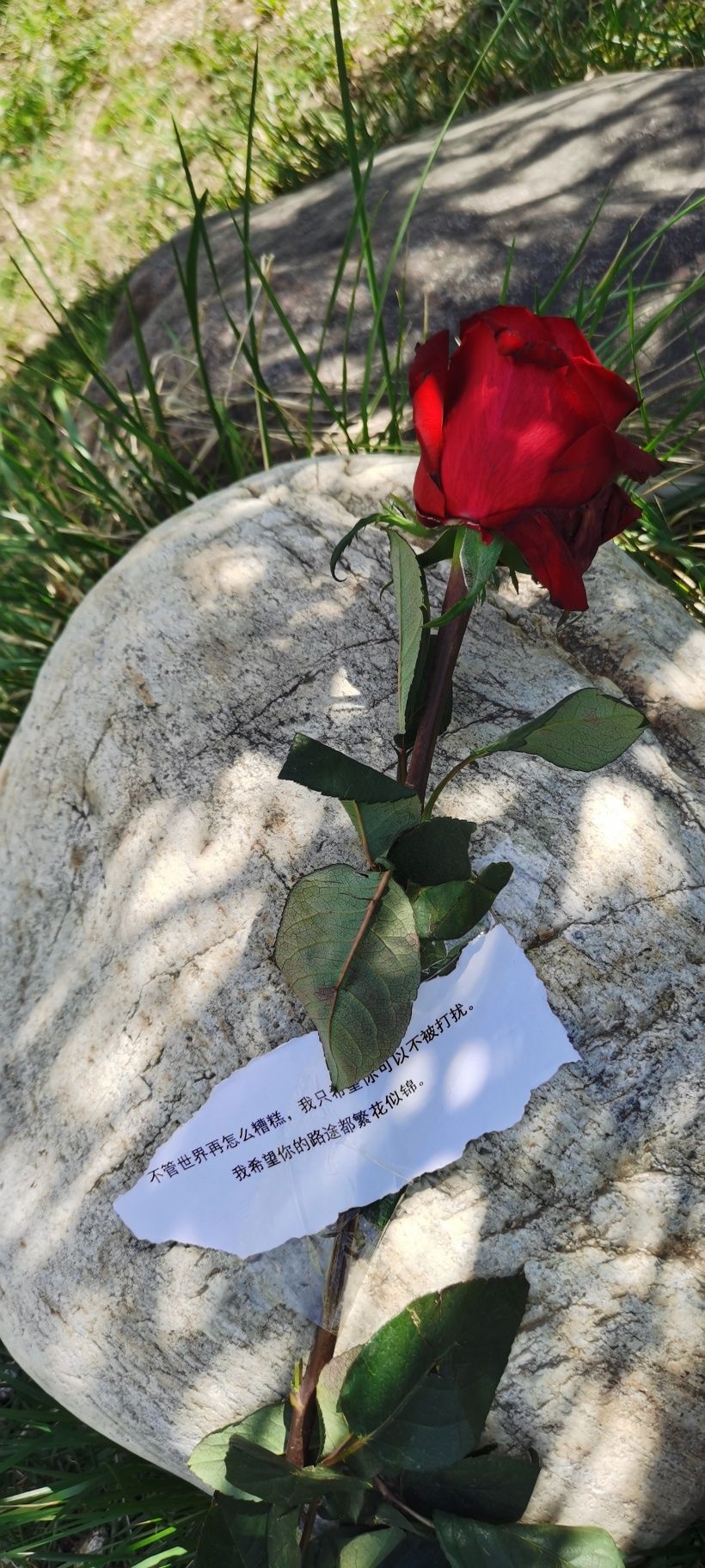 情商不高的星座,天才级别的三大星座智商情商双高