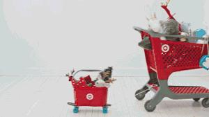 costco火爆开业,costco宁波第一家店何时确定