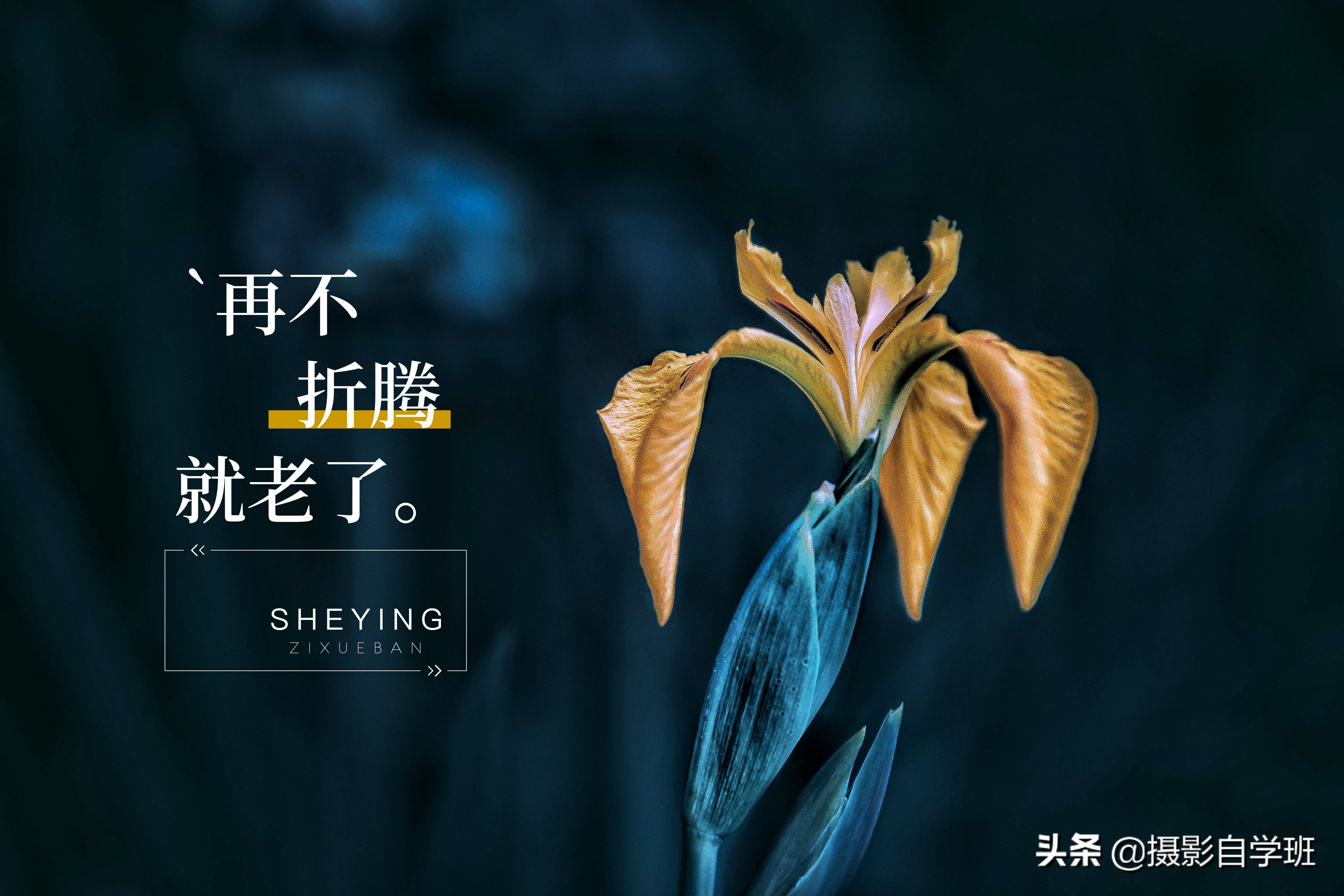 华为nova8照片时间水印怎么设置,华为p40pro拍照怎么设置时间水印