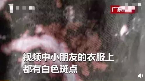 孩子上幼儿园后眼睛红肿长小疙瘩,孩子在幼儿园眼睛肿了