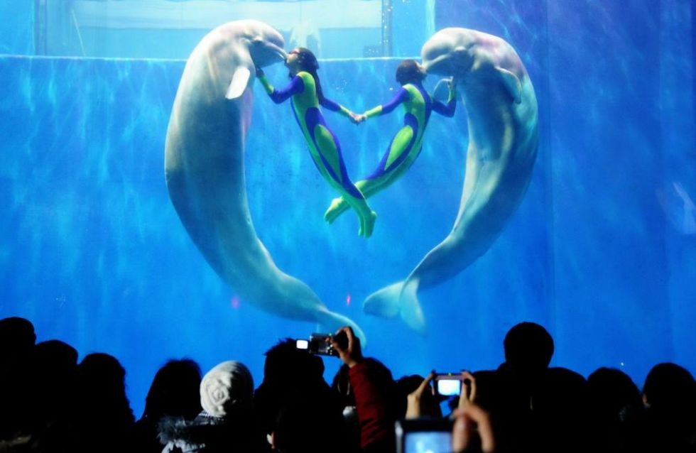 哈尔滨市内环境,哈尔滨一年四季的现状