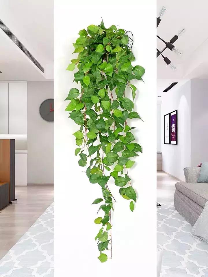 可爱又迷人的绿色植物,仿真绿色植物图片大全