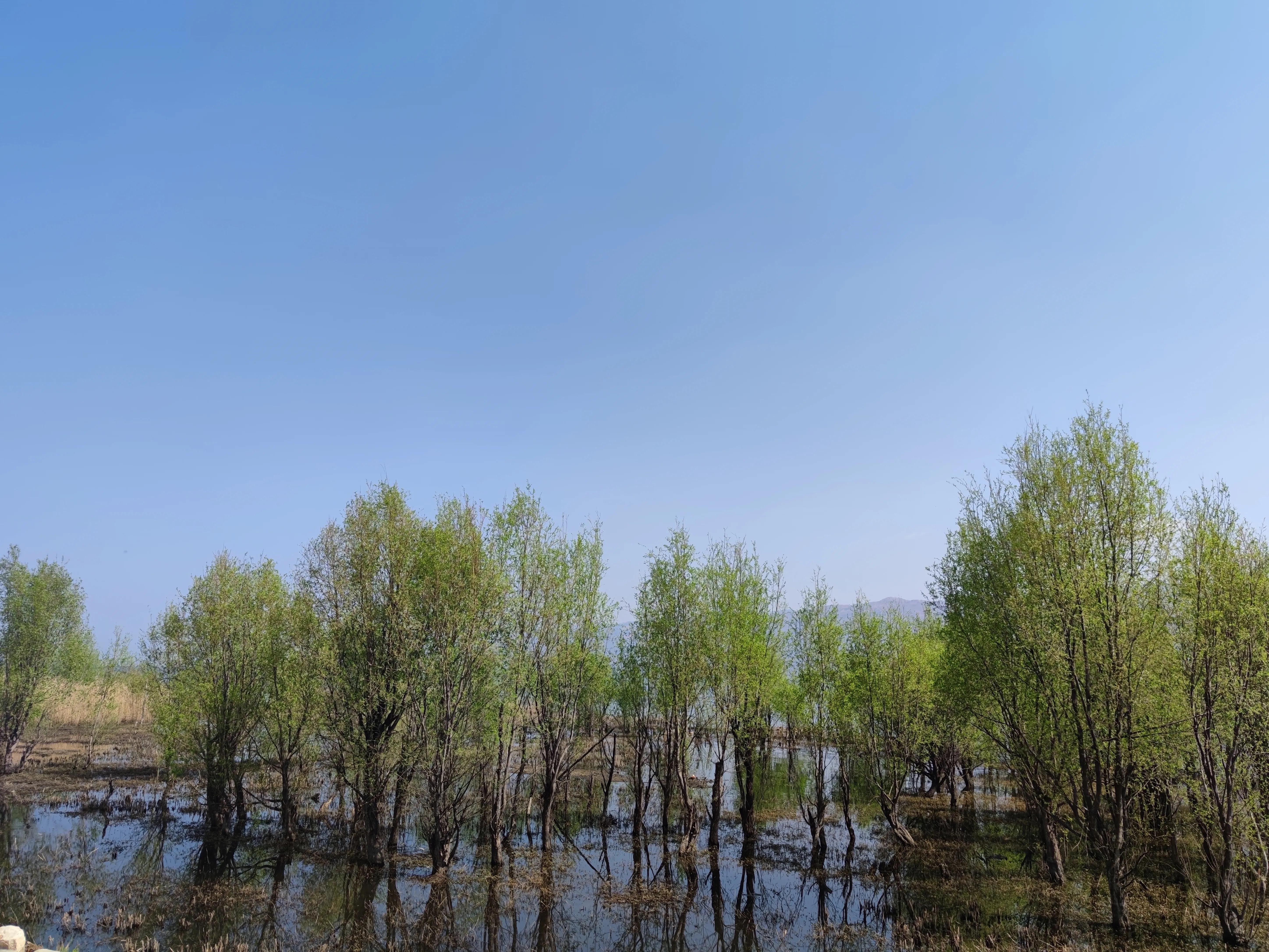 云南大理洱海龙龛古渡码头,云南洱海龙龛码头人多视频