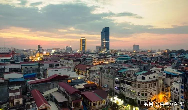 丁丁参加采访,丁丁采访