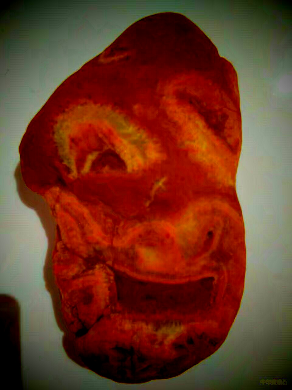 幽默风趣石头,石头幽默