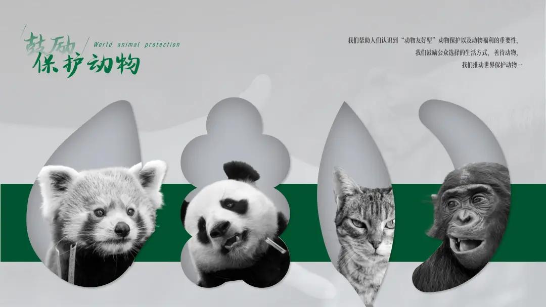 ppt排版设计技巧ppt制作培训教程,ppt多图经典案例排版