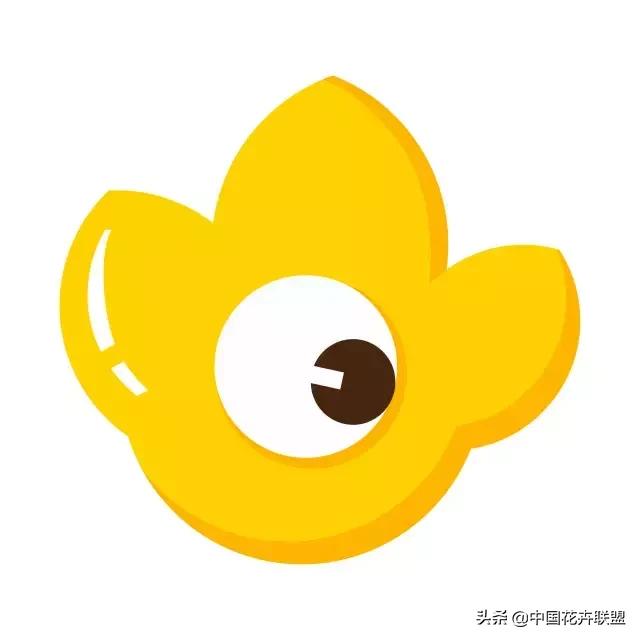 情人节送红玫瑰好还是香槟玫瑰好,情人节送十一支玫瑰代表什么