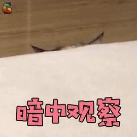 恋爱中的假真心套路,真实的爱情套路