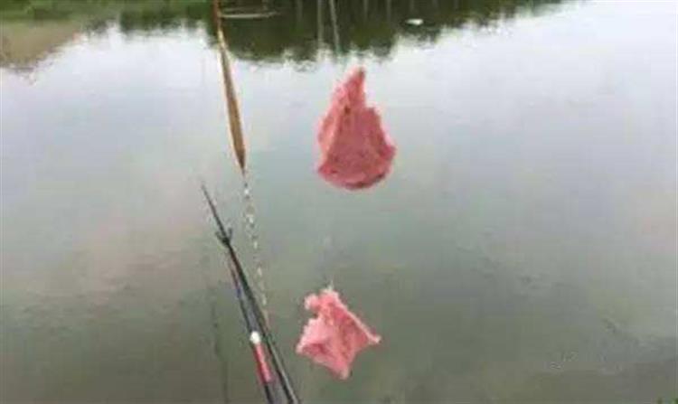 黑坑钓鲤鲫用什么饵比较合适,春季黑坑钓鲤用什么添加剂