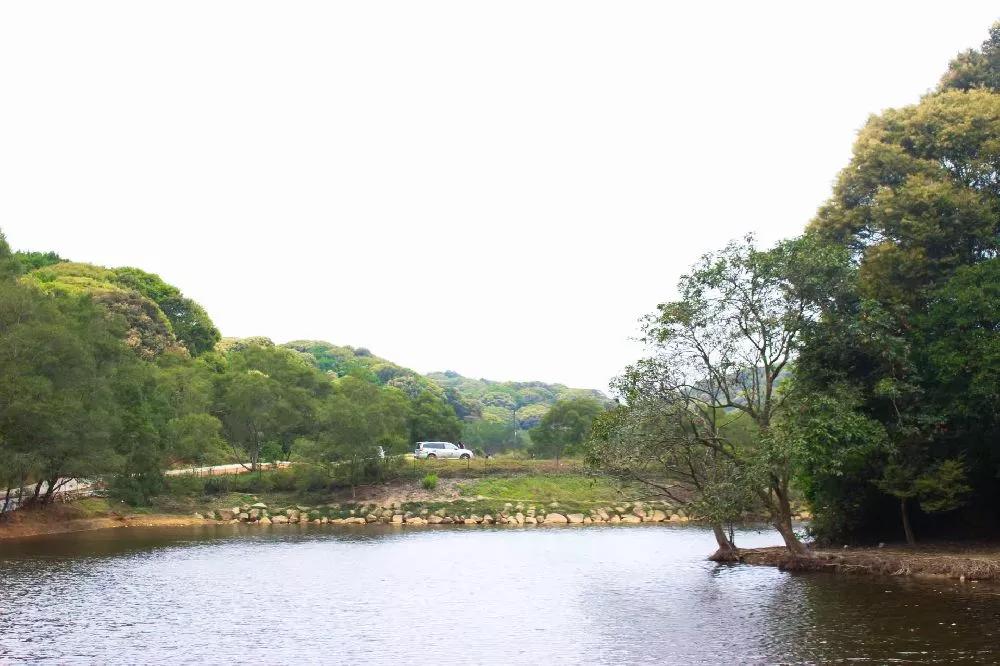 去深圳十大景点,到深圳必玩十大景区1天时间够吗