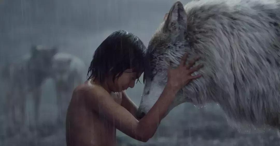 狮子王到底返不返场,狮子王口碑