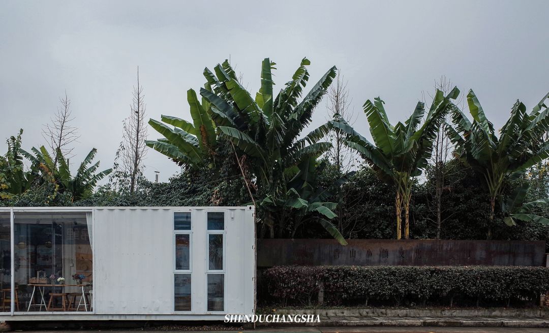 长沙旅游攻略必玩的十大景点介绍,长沙适合秋季打卡的景点