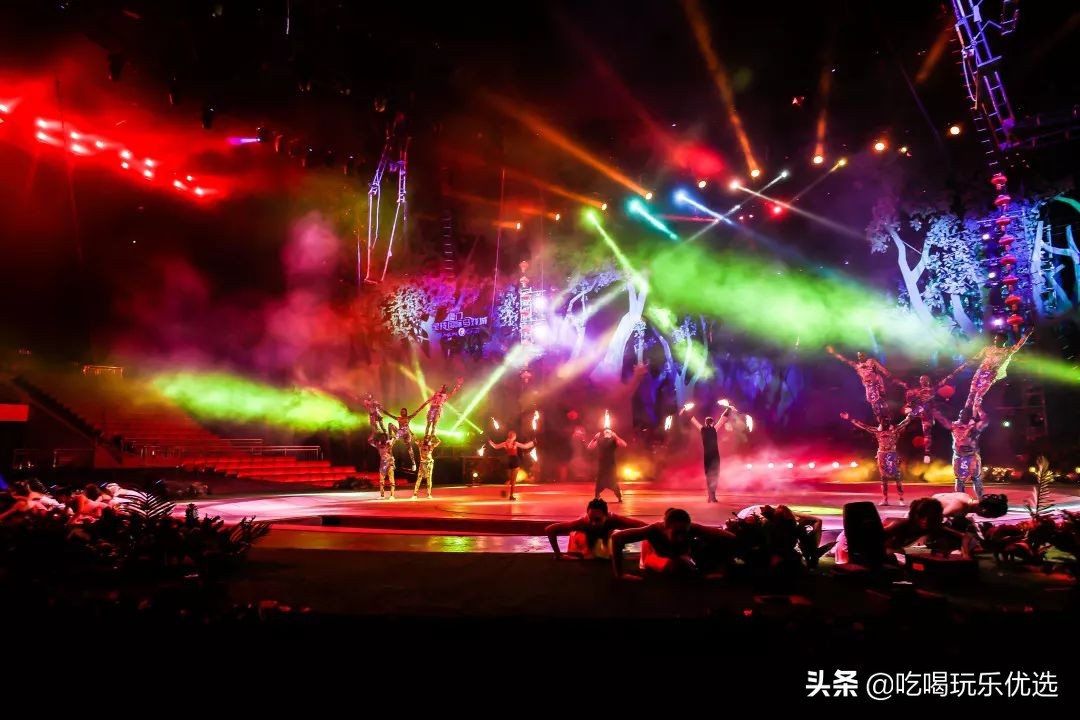 厦门灵玲动物王国大熊猫,厦门马戏团灵玲动物王国观光游览