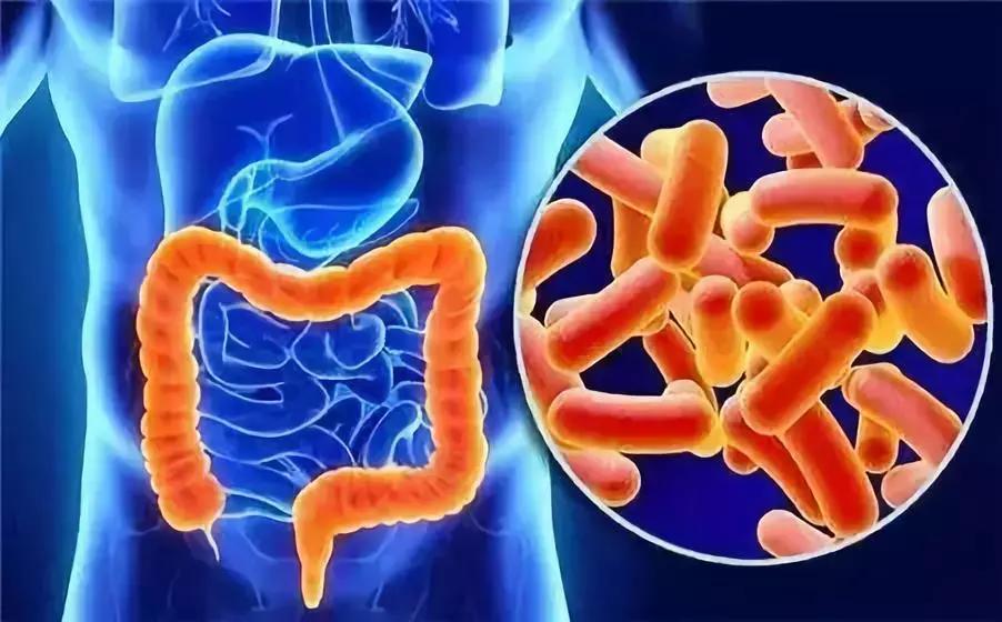 肠道菌群对癌症的影响,肠道菌群与癌症的最新研究