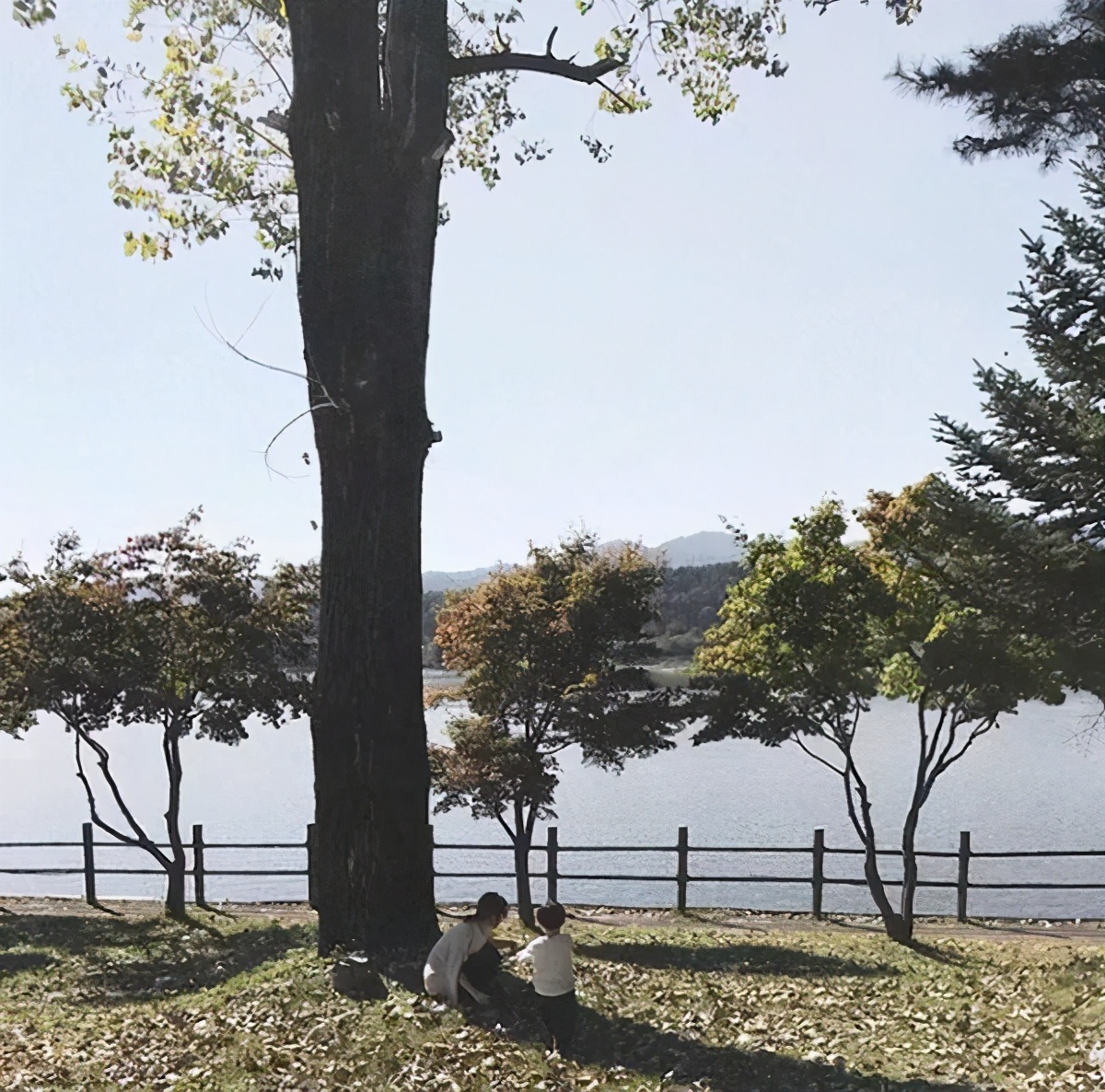 韩国主妇治愈生活,韩国主妇带着婴儿做家务