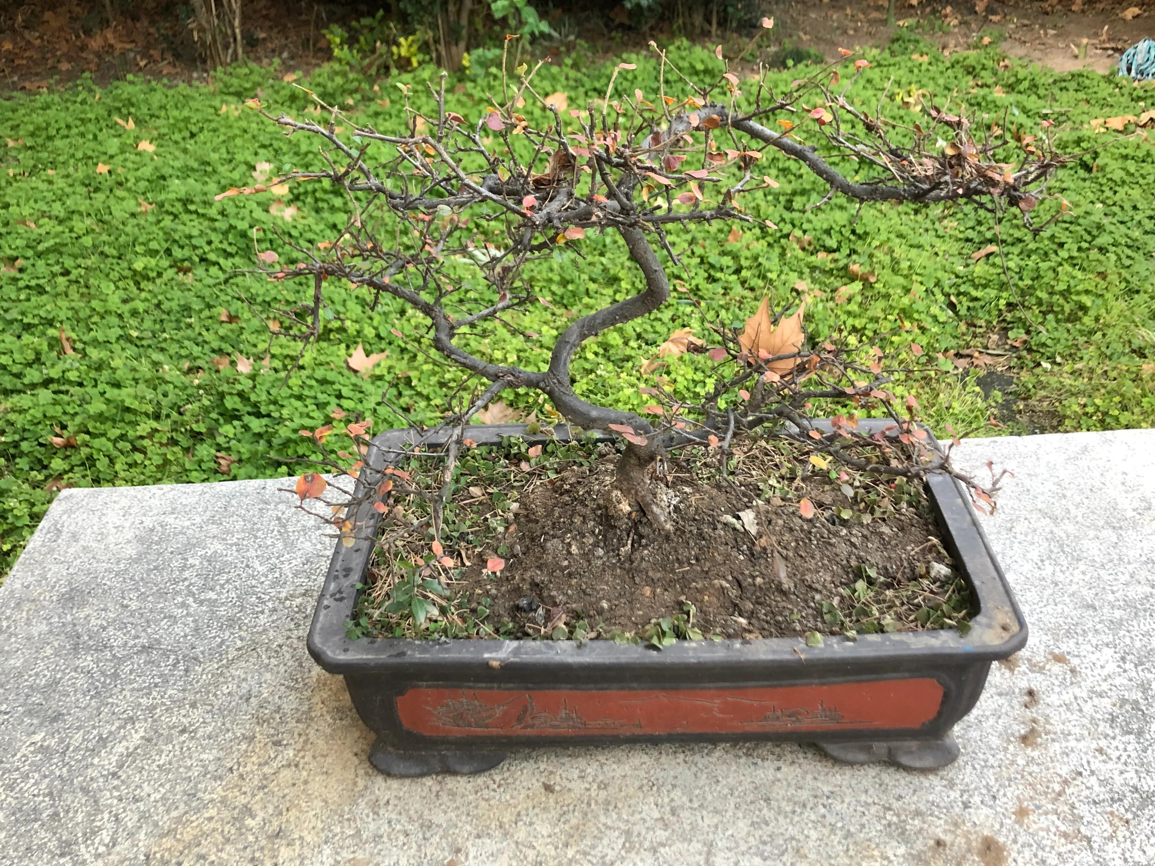 平顶山河滨公园旅游攻略,平顶山森林公园游记