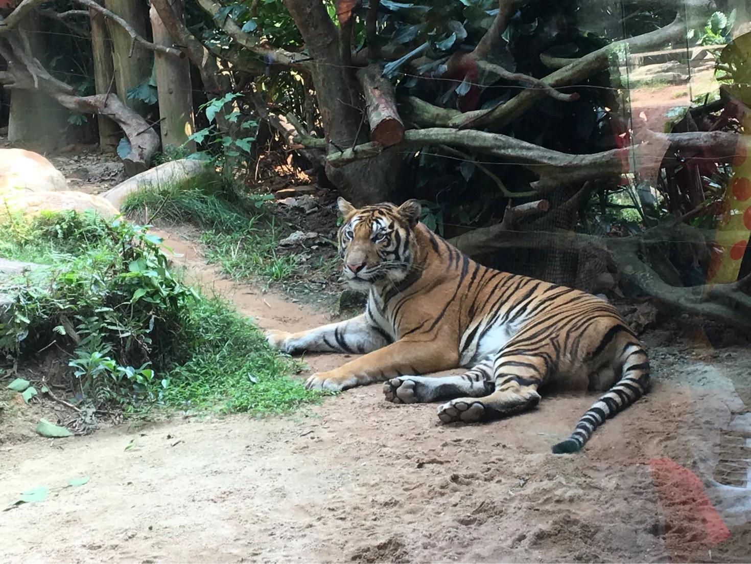 珠海长隆海洋王国亲子游玩攻略,带娃广州珠海长隆旅游攻略