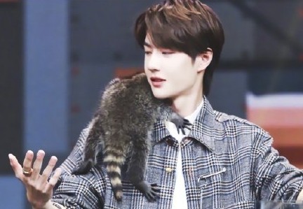 男明星有多少个王一博,明星们眼中的王一博