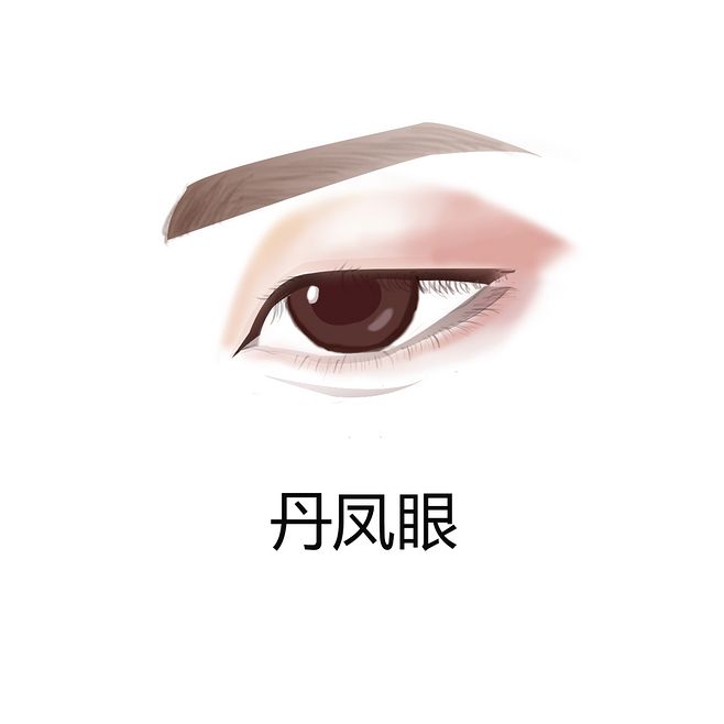 丹凤眼桃花眼各种眼型对照图,瑞凤眼桃花眼丹凤眼有什么区别