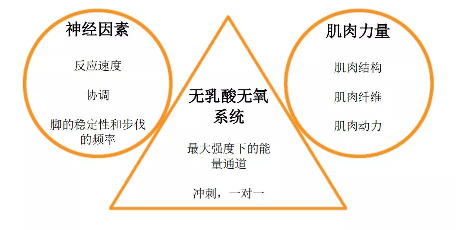 梅西c罗各数据,梅西c罗天赋和自律的极致代名词