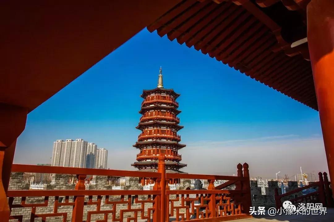 河南洛阳发布最新通知,洛阳牡丹花会向全世界发出邀请