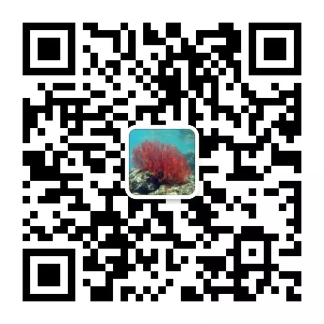 被使命感驱动的潜水员——最帅