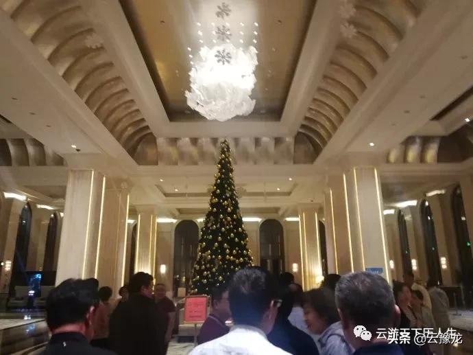 从湛江到海口火车,湛江到海口火车过海视频